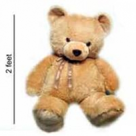 Special 2 Ft Teddy Bear